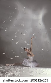 Grace, Tender. Young Graceful Beautiful Woman, Balerina In Image Of White Swan With Feathers In Art Performance Isolated On White Background.