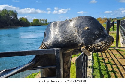 Graceful seal basking in the sunlight, posing amidst a stunning natural backdrop with lush greenery and a serene lake, capturing a perfect moment of wildlife beauty and harmony with nature - Powered by Shutterstock