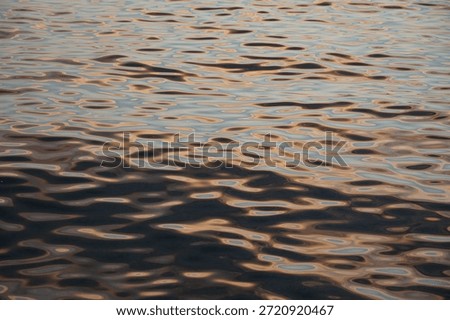 Gradient abstract composition of circular waves and various flowing shapes, enlightened by rose golden hues