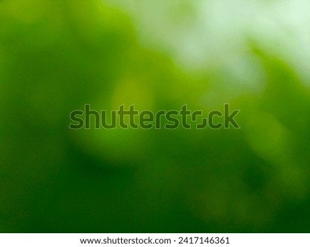 Gradient background, Abstract green blurred background.  Ecology concept for your graphic design, banner or poster.