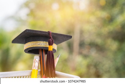 Graduate study or Education knowledge is power Ideas: Graduated cap Put on color pencil in basket. Conceptual for Educational is success study or business world. Back to School ideas.