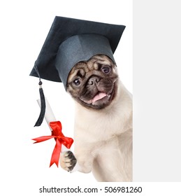 Graduated dog with diploma peeking from behind empty board. isolated on white background