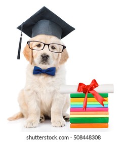Graduated puppy with books and diploma. isolated on white background