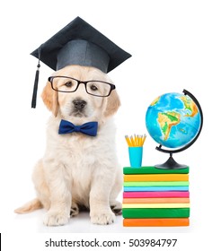 Graduated puppy sitting near books and globe. isolated on white background
