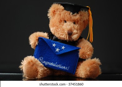 graduation teddy bear clintons