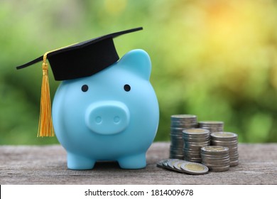 Graduation Hat On Blue Piggy Bank With Stack Of Coins Money On Nature Green Background, Saving Money For Education Concept 