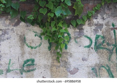 Graffiti and colored spots on the wall, - Powered by Shutterstock