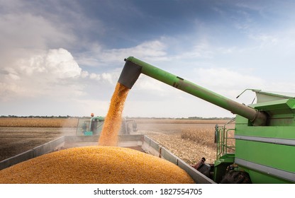 Grain Auger Of Combine Pouring Corn Into Tractor Trailer