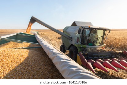 Grain Auger Of Combine Pouring Corn Into Tractor Trailer