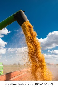 Grain Auger Of Combine Pouring Corn Into Tractor Trailer