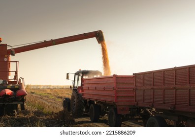 Grain Auger Of Combine Pouring Corn Into Tractor Trailer