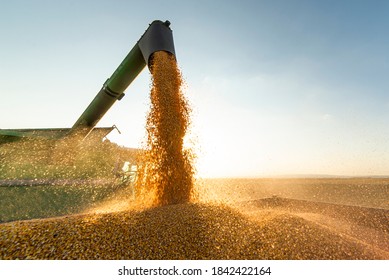 Grain auger of combine pouring soy bean into tractor trailer - Shutterstock ID 1842422164
