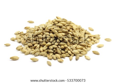 grain barley malt on a white background