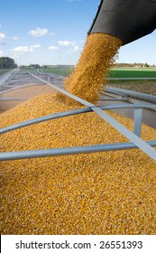 Grain Being Loaded Into A Truck Trailer.