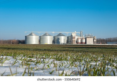 Grain Bin Among Wheat Fields In Winter. Agricultural Silo, Foregro Plantations. Set Of Storage Tanks Cultivated Agricultural Crops Processing Plant. Building Exterior, Storage 