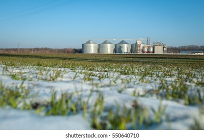 Grain bin among wheat fields in winter. Agricultural silo, foregro plantations. Set of storage tanks cultivated agricultural crops processing plant. Building Exterior, Storage 