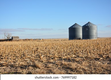 Grain Bins And Corn Field