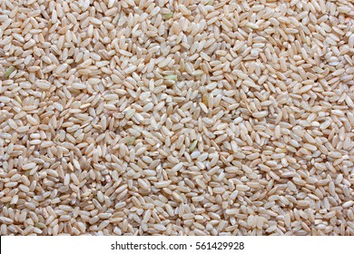 Grain Brown Rice Background