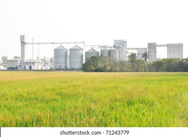 A Grain Co-op Feed Mill Facility