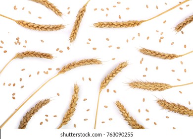 grain and ears of wheat isolated on white background. Top view. Flat lay pattern