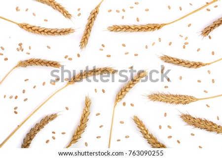 Similar – Image, Stock Photo Ripe ears Cereal grain