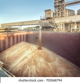 Grain Elevator. Filling The Hold. The Wheat In Bulk.