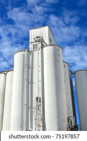 Grain Elevator Is Icon In The Small Community Of Andale, Kansas.  White Cylinder Tower Into A Vivid Blue Sky.