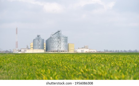 Grain Elevator. Metal Grain Elevator In Agricultural Zone. Agriculture Storage For Harvest. Grain Elevators On Green Nature Background. Exterior Of Agricultural Factory.