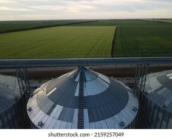 Grain Elevator. Metal Grain Elevator In Agricultural Zone. Agriculture Storage For Harvest. Grain Silos On Green Nature Background. Exterior Of Agricultural Factory. Nobody.