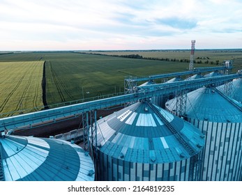 Grain Elevator. Metal Grain Elevator In Agricultural Zone. Agriculture Storage For Harvest. Grain Silos On Green Nature Background. Exterior Of Agricultural Factory. Sunset Warm Light. Nobody.