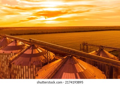 Grain Elevator. Metal Grain Elevator In Agricultural Zone. Agriculture Storage For Harvest. Grain Silos On Green Nature Background. Exterior Of Agricultural Factory. Sunset Warm Light. Nobody.