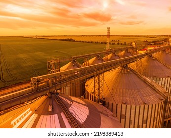 Grain elevator. Metal grain elevator in agricultural zone. Agriculture storage for harvest. Grain silos on green nature background. Exterior of agricultural factory. Sunset warm light. Nobody. - Shutterstock ID 2198389413