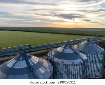 Grain Elevator. Metal Grain Elevator In Agricultural Zone. Agriculture Storage For Harvest. Grain Silos On Green Nature Background. Exterior Of Agricultural Factory. Sunset Warm Light. Nobody.