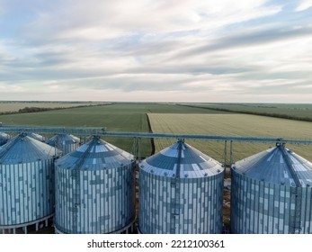 Grain Elevator. Metal Grain Elevator In Agricultural Zone. Agriculture Storage For Harvest. Grain Silos On Green Nature Background. Exterior Of Agricultural Factory. Sunset Warm Light. Nobody.