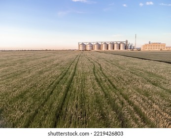 Grain Elevator. Metal Grain Elevator In Agricultural Zone. Agriculture Storage For Harvest. Grain Silos On Green Nature Background. Exterior Of Agricultural Factory. Sunset Warm Light. Nobody.