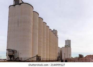 Grain elevator with pale sky.  Railway grain storage facility.  