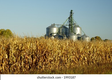 A grain elevator towers above a corn field  in South Dakota.