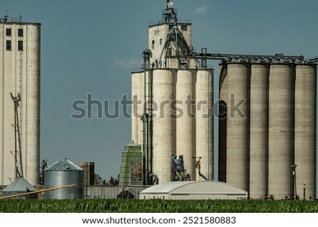 Grain elevators, silos, and other farm buildings tower over a lush, green field of corn in northern Kansas.