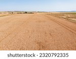 Grain fields in the Palatinate near Biedesheim - Germany from a bird