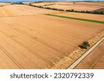 Grain fields in the Palatinate near Biedesheim - Germany from a bird