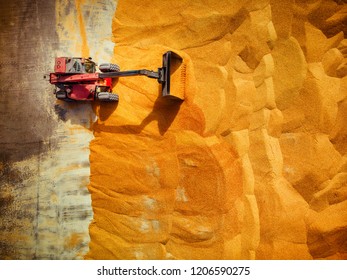 Grain Gathered From Truck Into A Silo For Processing