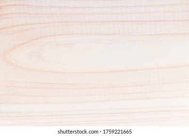 ヒノキ の画像 写真素材 ベクター画像 Shutterstock