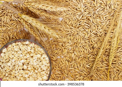 Wheat Rye Barley Oat Seeds Images Stock Photos Vectors Shutterstock