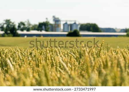 Grain Processing Plant Seen From Wheat Field During Daytime in Agricultural Area