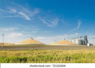 24,228 Grain silos Images, Stock Photos & Vectors | Shutterstock