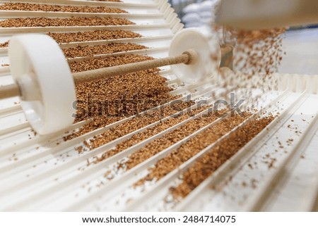 Grain sorting machine, Paddy machine sorts grains of one crop, separates grain peeling products. grain quality concept