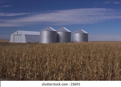 Grain storage bins and corn field, Nebraska