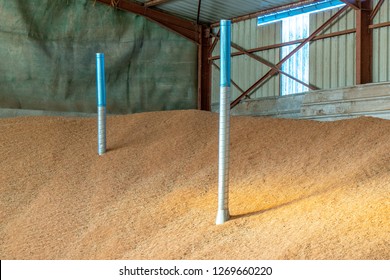 Grain Storage Inside A Barn