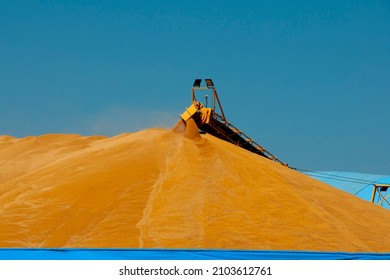 Grain Storage in Open Bulkhead