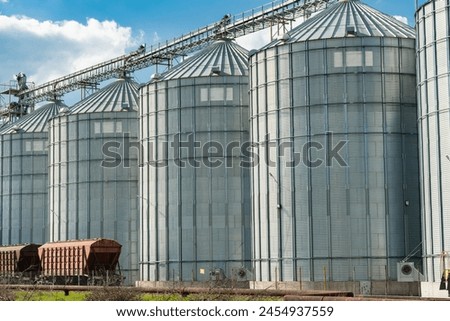 Grain storage. Silos on agro-processing and manufacturing plant for processing drying cleaning and storage of agricultural products. Modern steel agricultural grain granary silos. Agribusiness.